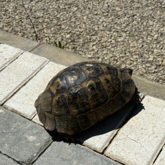 Наталья Артёмова, 13.07, Москва