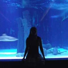 Виктория Брехаря, 24.02.1985, Днепр (Днепропетровск)