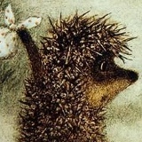 Сергей Йож, 29.02, Санкт-Петербург