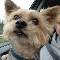 Ирина Новикова, 26.04, Санкт-Петербург