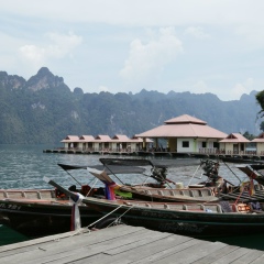 Nadežda Vladimirovna, Москва