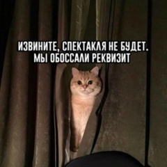 Виктория Красоткина, 20.04, Москва