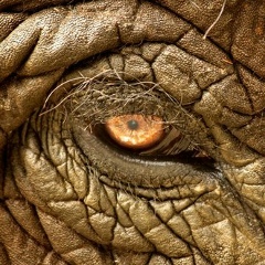 Галина Баталова, 17.08.1967, Алматы