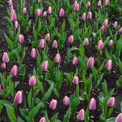 Михаил Петренко, 08.11.1990