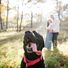 Павел Круглый, 12.07.1988, Харьков