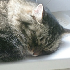 Александр Рябов, 19.01.1985, Запрудня