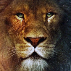 Георгий Бутхузи, 25.05.1995, Караганда