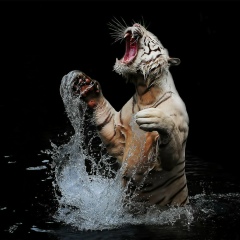 Илья Шингалеев, 02.08.1986, Тула