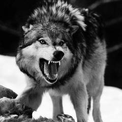 Нуралы Инирбай, 08.07.1993, Москва