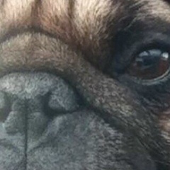 Смысла Нет, 09.11, Рязань