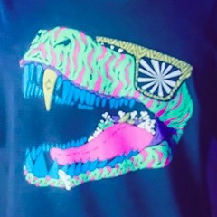 Шухрат Хакимбаев, Тараз