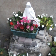 Larisa Postupaka, 21.05, Chicago