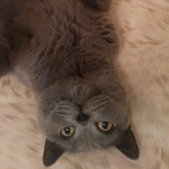 Андрей Size, 02.11, Санкт-Петербург