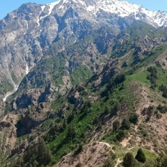 Серега Оптимист, Красноярск