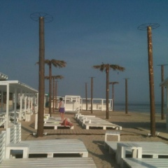 Ян Жигалкович