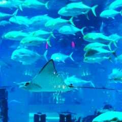 Макс Кучма, 29.10, Тернополь