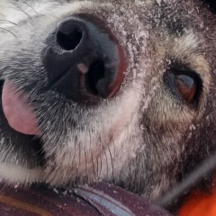 Александр Самарин, 08.09.1991