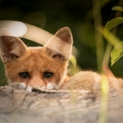 Юлия Панкова, 25.03, Москва