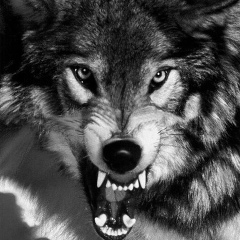 Евгений Дубовицкий, 14.05