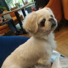 Нигина Гозиназарова, Москва