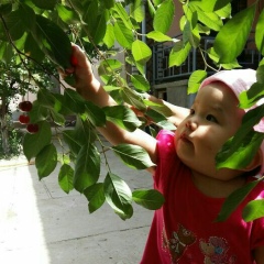 Маржан Байтикова, 12.06, Кызылорда