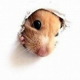 Оля Слипченко, 07.04.1987, Киев