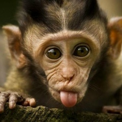 Зухра Сатлыкова, 10.05.1980, Санкт-Петербург