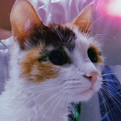 Наташа Михайлина, 26.03.1999, Санкт-Петербург