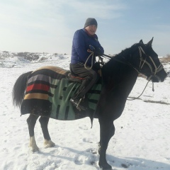 Саке Саке