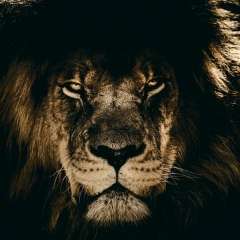 Сергей Громов, 16.09, Москва