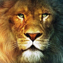 Halid Israpilov, 11.11.1996, Автуры