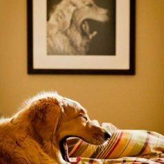 Ольга Сотник, 17.06.1988, Киев