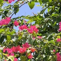 Лариса Фелькер, 16.08.1977, Чебоксары