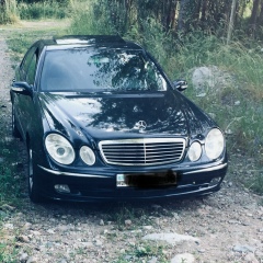 Шынгыс Жолшыбеков, 07.03, Алматы