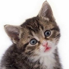 Раиса Сильниченко, 06.05.1981