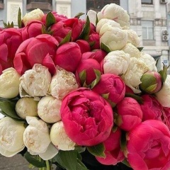 Аа Аа, Москва