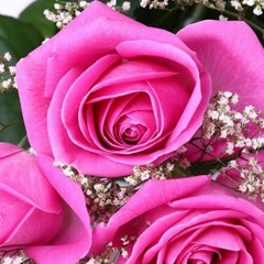 Товрат Кагерманова, 05.06