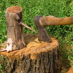 Сергей Синяев, 05.07, Москва