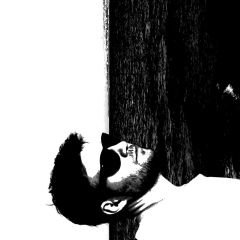 Кирилл Морозов, 24.05.1988, Москва