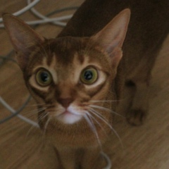 Ольга Войтенко, 30.05.1986