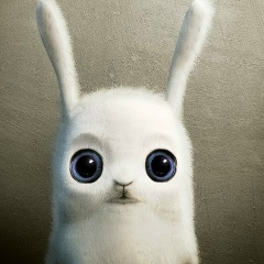 Олег Федюк, 01.02, Сокаль