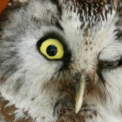 Joao Sartori, 31.01.1936, Salvador