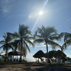 Алия К, Самара