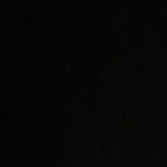 Нелли Андрюшина, Санкт-Петербург