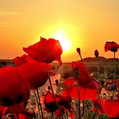 Катя Чмых, 09.04, Донецк