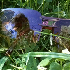 Юлия Мороз, 25.07.1981, Калининград