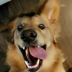 Миша , 28.10.1985, Санкт-Петербург