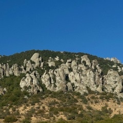 Макс Фурсов, 09.05, Воронеж