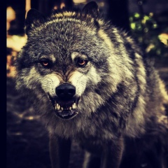 Владислав Диденко, 10.11.1993, Екатеринбург