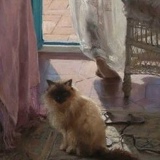 Александра Губина, 13.12, Воронеж